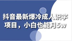 抖音最新爆冷成人识字项目，小白也能月5w-吾藏分享