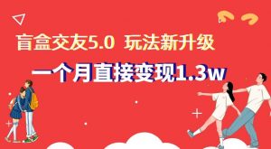 盲盒交友5.0，玩法全新升级，一个月直接变现1.3W，新手小白轻松上手【揭秘】-吾藏分享