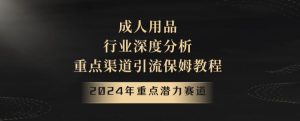 2024年重点潜力赛道，成人用品行业深度分析，重点渠道引流保姆教程【揭秘】-吾藏分享