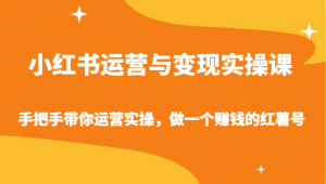 小红书运营与变现实操课-手把手带你运营实操，做一个赚钱的红薯号-吾藏分享