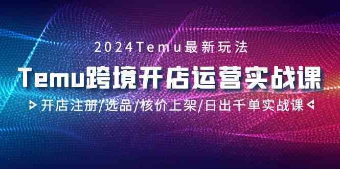 2024Temu跨境开店运营实战课，开店注册/选品/核价上架/日出千单实战课-吾藏分享