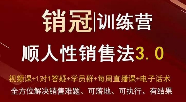 爆款！销冠训练营3.0之顺人性销售法，全方位解决销售难题、可落地、可执行、有结果-吾藏分享