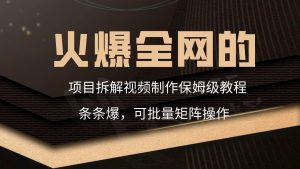 火爆全网的项目拆解类视频如何制作，条条爆，保姆级教程-吾藏分享