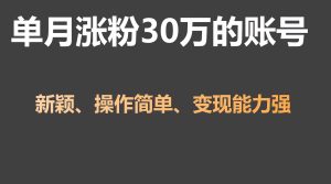 单月涨粉30万，带货收入20W，5分钟就能制作一个视频！-吾藏分享