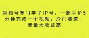 视频号寒门学子IP号，一部手价5分钟完成一个视频，冷门赛道，流量大收益高【揭秘】-吾藏分享