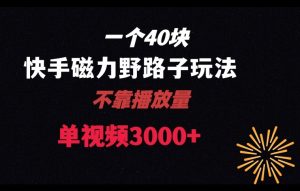 一个40块，快手联合美团磁力新玩法，无视机制野路子玩法，单视频收益4位数【揭秘】-吾藏分享