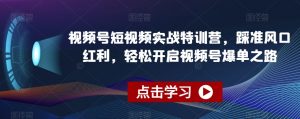 视频号短视频实战特训营，踩准风口红利，轻松开启视频号爆单之路-吾藏分享