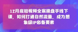 12月底短视频全案操盘手线下课，如何打通自然流量，成为想象级IP必备要素-吾藏分享