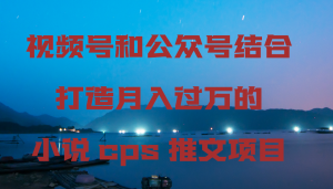 视频号和公众号结合打造月入过万的小说cps推文项目，包括市面上面的各种思路详解-吾藏分享