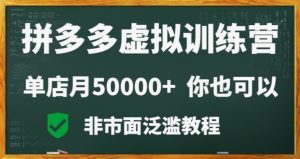 拼多多虚拟电商训练营月入30000+你也行，暴利稳定长久，副业首选-吾藏分享