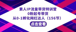 繁星·计划素人IP流量带货特训营：0粉起号带货 从0-1孵化网红达人（156节）-吾藏分享