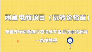 闲鱼电商项目（玩转价格差）：注册养号标题图片咨询成交售后选品货源等，一条龙教程-吾藏分享