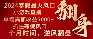 2024年最火寒假风口项目 小游戏直播 单场收益5000+抓住风口 一个月直接提车-吾藏分享