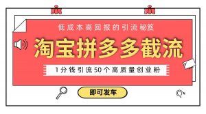 淘宝拼多多电商平台截流创业粉 只需要花上1分钱，长尾流量至少给你引流50粉-吾藏分享