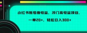 小红书账号撸收益，冷门高收益项目，一单20+，轻松日入300+【揭秘】-吾藏分享