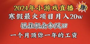 2024年寒假爆火项目，小游戏直播月入20w+，学会了之后你将翻身-吾藏分享