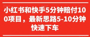 小红书和快手5分钟赔付100项目，最新思路5-10分钟快速下车【仅揭秘】-吾藏分享