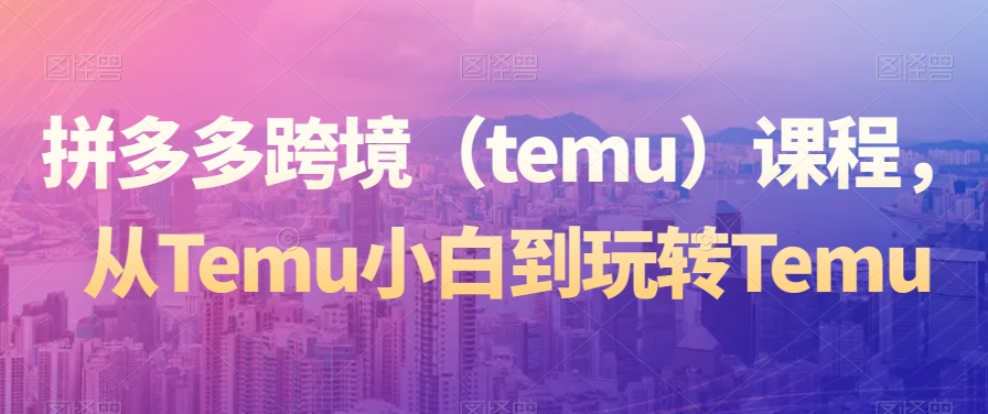 拼多多跨境（temu）课程，从Temu小白到玩转Temu-吾藏分享