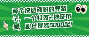 两个快速涨粉的野路子，一个特效+神奇布偶，粉丝暴涨5000起-吾藏分享