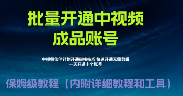 [新自媒体]外面收费1980暴力开通中视频计划教程，附 快速通过中视频伙伴计划的办法-吾藏分享