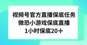 视频号直播任务，微恐小游戏，1小时20+-吾藏分享