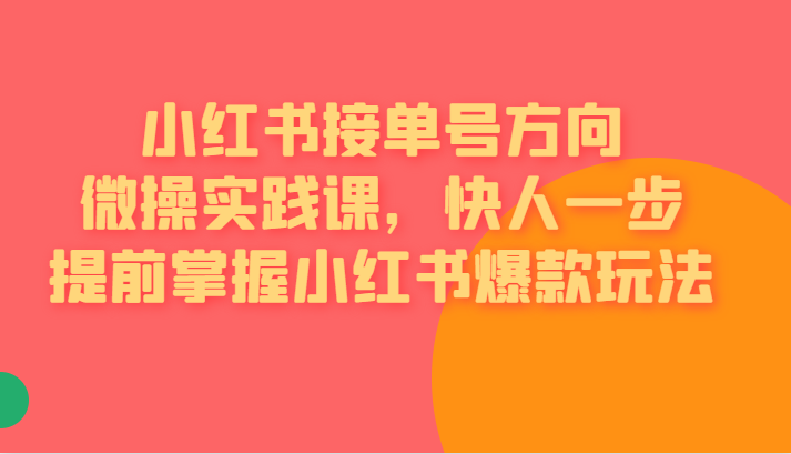 [小红书]小红书接单号方向微操实践课，快人一步提前掌握小红书爆款玩法-吾藏分享