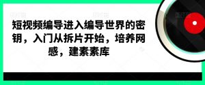 短视频编导进入编导世界的密钥，入门从拆片开始，培养网感，建素素库-吾藏分享