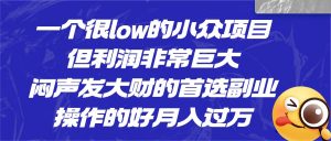 [抖音快手]一个很low的小众项目，但利润非常巨大，闷声发大财的首选副业，操作的好月入过万-吾藏分享