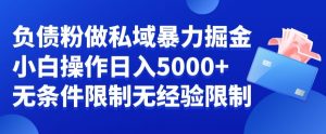 负债粉私域暴力掘金，小白操作入5000，无经验限制，无条件限制-吾藏分享