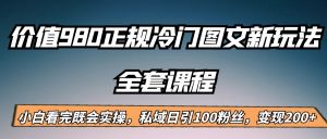 外面卖980的正规冷门图文新玩法，私域日引100粉丝，变现200+-吾藏分享