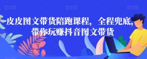 皮皮图文带货陪跑课程，全程兜底，带你玩赚抖音图文带货-吾藏分享