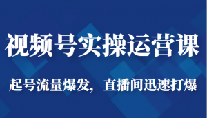 视频号实操运营课-起号流量爆发，直播间迅速打爆-吾藏分享