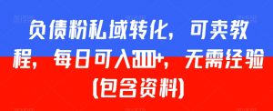 负债粉私域转化，可卖教程，每日可入2000+，无需经验（包含资料）-吾藏分享