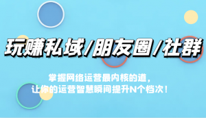 玩赚私域/朋友圈/社群，掌握网络运营最内核的道，让你的运营智慧瞬间提升N个档-吾藏分享