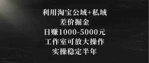 利用淘宝公域+私域差价掘金，日赚1000-5000元，工作室可放大操作，实操…-吾藏分享