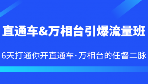 直通车&万相台引爆流量班 6天打通你开直通车·万相台的任督二脉-吾藏分享