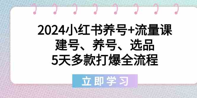 2024小红书养号+流量课：建号、养号、选品，5天多款打爆全流程-吾藏分享