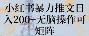 小红书暴力推文日入200+无脑操作可矩阵-吾藏分享