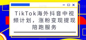 TikTok海外抖音中视频计划，涨粉变现提现陪跑服务-吾藏分享