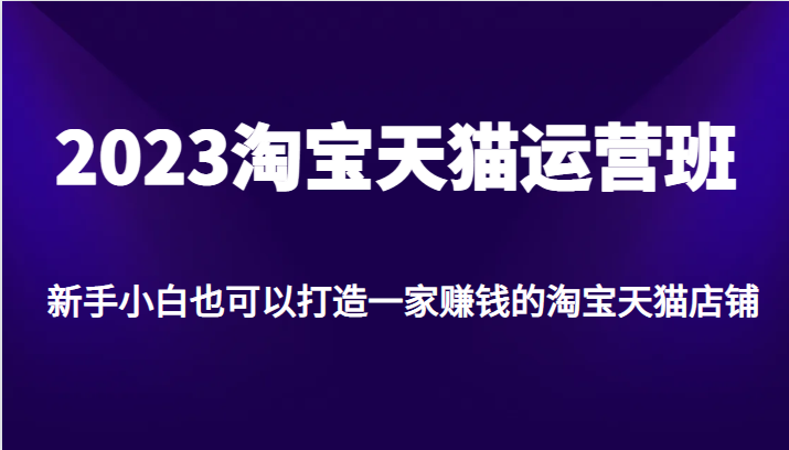 2023淘宝天猫运营班，新手小白也可以打造一家赚钱的淘宝天猫店铺-吾藏分享