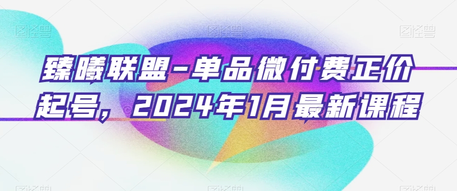 臻曦联盟-单品微付费正价起号，2024年1月最新课程-吾藏分享