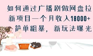 如何通过广播剧做网盘拉新项目一个月收入18000+，简单粗暴，新玩法曝光-吾藏分享