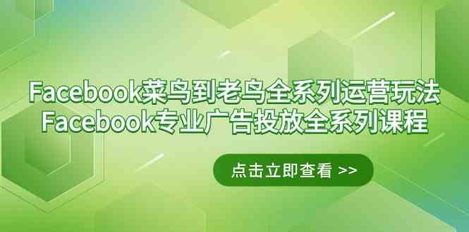 Facebook-菜鸟到老鸟全系列运营玩法+Facebook-专业广告投放全系列课程-吾藏分享