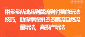 拼多多从选品到截流到付费的玩法技巧，助你掌握拼多多截流自然流量玩法，高投产玩法-吾藏分享