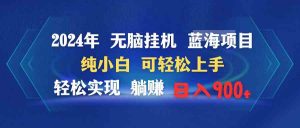 2024年无脑挂机蓝海项目 纯小白可轻松上手 轻松实现躺赚日入900+-吾藏分享