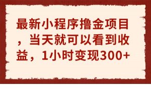 最新小程序撸金项目，当天就可以看到收益，1小时变现300+-吾藏分享