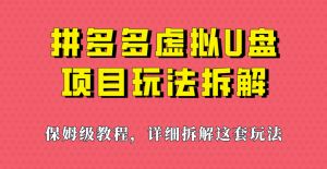 拼多多虚拟U盘项目，保姆级拆解，可多店操作，一天1000左右！-吾藏分享