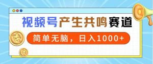 2024年视频号，产生共鸣赛道，简单无脑，一分钟一条视频，日入1000+-吾藏分享