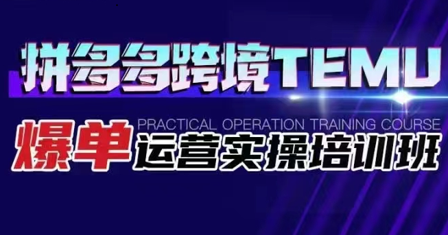 拼多多跨境TEMU爆单运营实操培训班 海外拼多多的选品、运营、爆单-吾藏分享