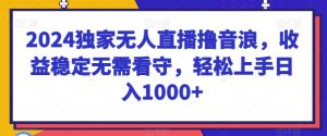 2024独家无人直播撸音浪，收益稳定无需看守，轻松上手日入1000+【揭秘】-吾藏分享